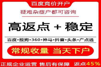某公司网站sem托管项目纪实